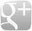 Gray Google Plus logo icon.
